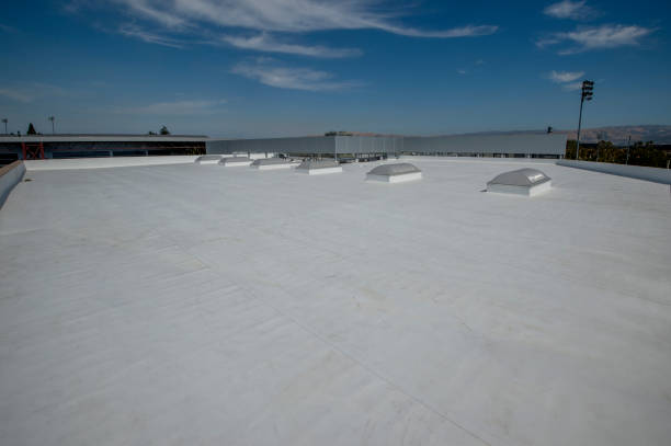 Best Roof Maintenance and Cleaning  in Forrest City, AR
